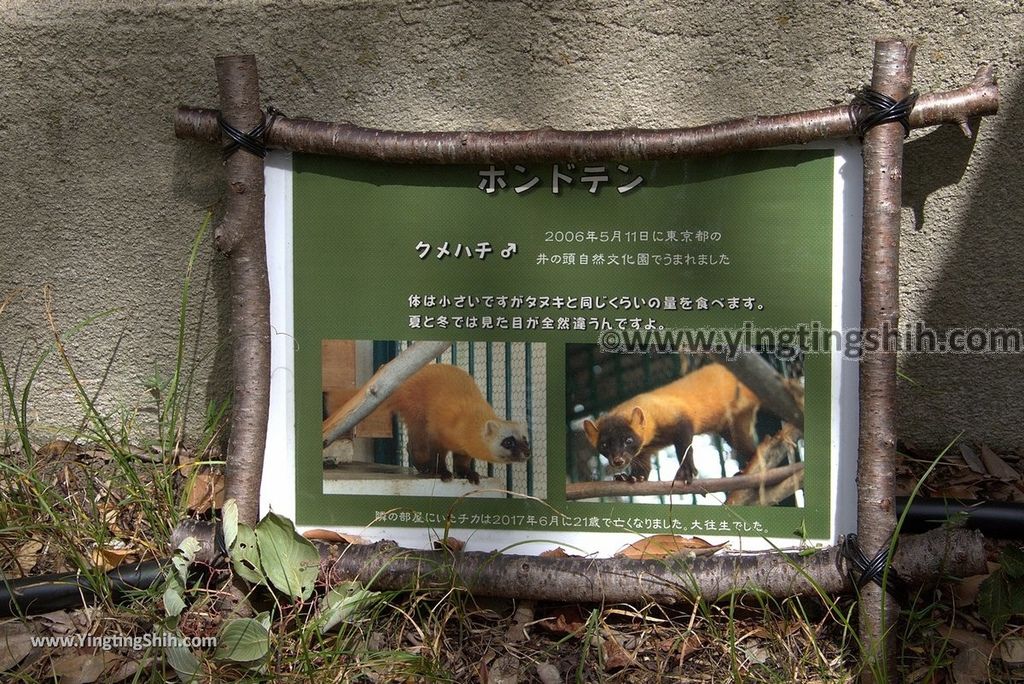 YTS_YTS_20180822_日本九州福岡福岡市動物園／動物科學館／摩天輪Japan Kyushu Fukuoka Fukuoka City Zoological Garden095_3A5A4117.jpg