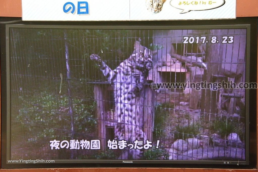 YTS_YTS_20180822_日本九州福岡福岡市動物園／動物科學館／摩天輪Japan Kyushu Fukuoka Fukuoka City Zoological Garden104_3A5A4158.jpg