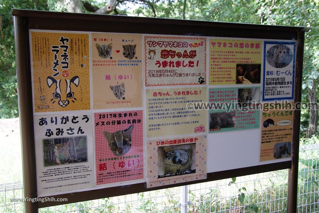 YTS_YTS_20180822_日本九州福岡福岡市動物園／動物科學館／摩天輪Japan Kyushu Fukuoka Fukuoka City Zoological Garden105_3A5A4168.jpg