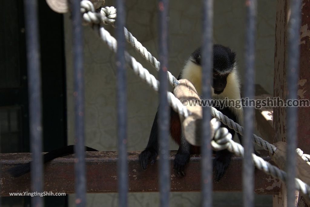 YTS_YTS_20180822_日本九州福岡福岡市動物園／動物科學館／摩天輪Japan Kyushu Fukuoka Fukuoka City Zoological Garden120_3A5A4347.jpg