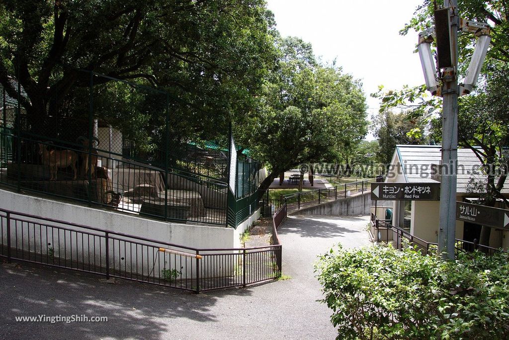 YTS_YTS_20180822_日本九州福岡福岡市動物園／動物科學館／摩天輪Japan Kyushu Fukuoka Fukuoka City Zoological Garden126_3A5A4420.jpg