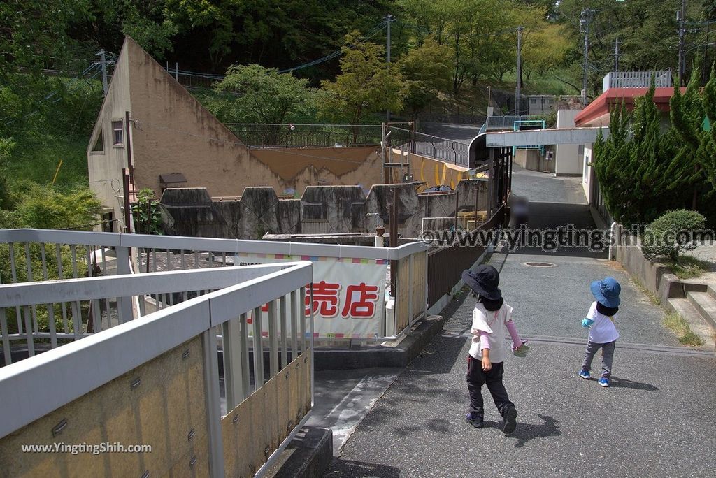 YTS_YTS_20180822_日本九州福岡福岡市動物園／動物科學館／摩天輪Japan Kyushu Fukuoka Fukuoka City Zoological Garden160_3A5A5116.jpg