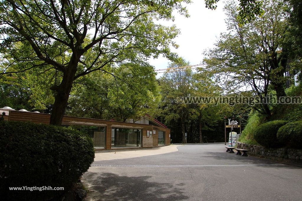 YTS_YTS_20180822_日本九州福岡福岡市動物園／動物科學館／摩天輪Japan Kyushu Fukuoka Fukuoka City Zoological Garden177_3A5A5193.jpg