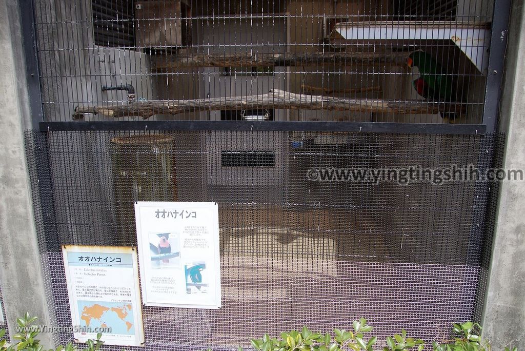 YTS_YTS_20180822_日本九州福岡福岡市動物園／動物科學館／摩天輪Japan Kyushu Fukuoka Fukuoka City Zoological Garden205_3A5A5428.jpg