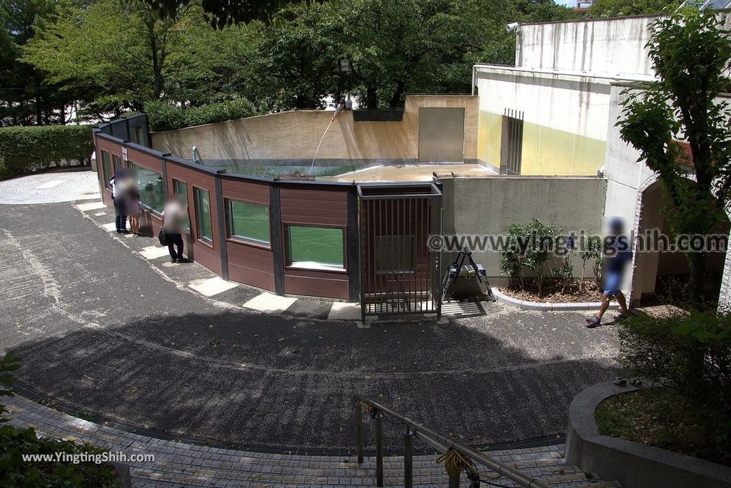 YTS_YTS_20180822_日本九州福岡福岡市動物園／動物科學館／摩天輪Japan Kyushu Fukuoka Fukuoka City Zoological Garden262_3A5A5766.jpg