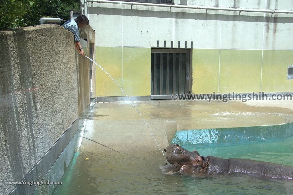 YTS_YTS_20180822_日本九州福岡福岡市動物園／動物科學館／摩天輪Japan Kyushu Fukuoka Fukuoka City Zoological Garden264_3A5A5872.jpg