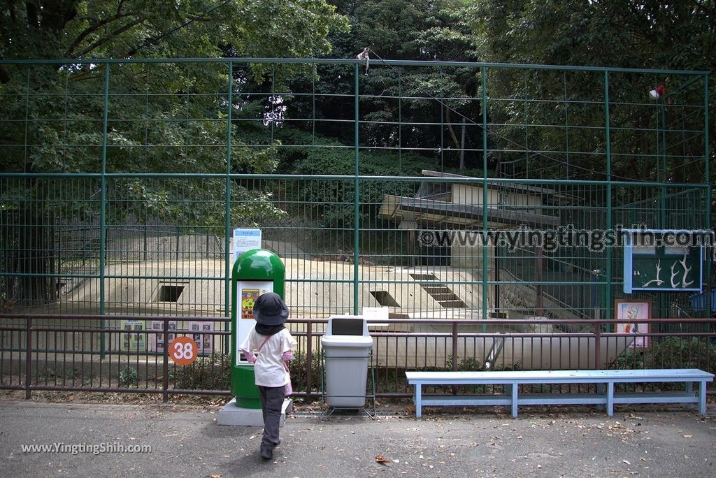 YTS_YTS_20180822_日本九州福岡福岡市動物園／動物科學館／摩天輪Japan Kyushu Fukuoka Fukuoka City Zoological Garden273_3A5A6083.jpg