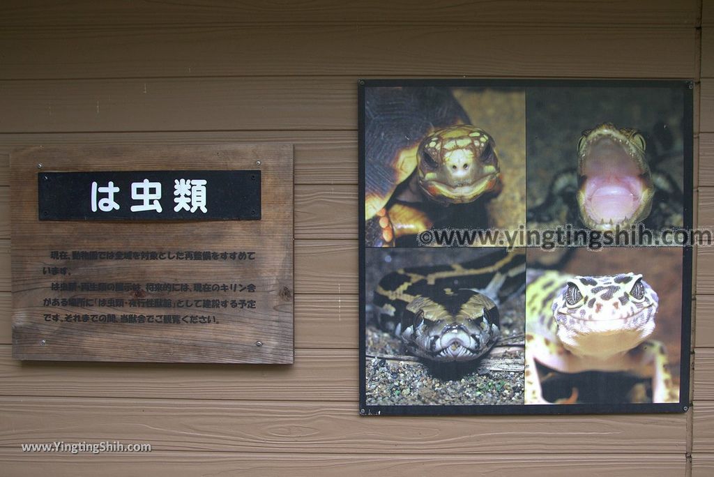 YTS_YTS_20180822_日本九州福岡福岡市動物園／動物科學館／摩天輪Japan Kyushu Fukuoka Fukuoka City Zoological Garden280_3A5A6126.jpg