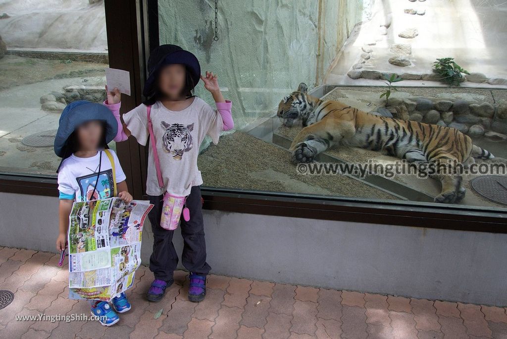 YTS_YTS_20180822_日本九州福岡福岡市動物園／動物科學館／摩天輪Japan Kyushu Fukuoka Fukuoka City Zoological Garden302_3A5A6271.jpg