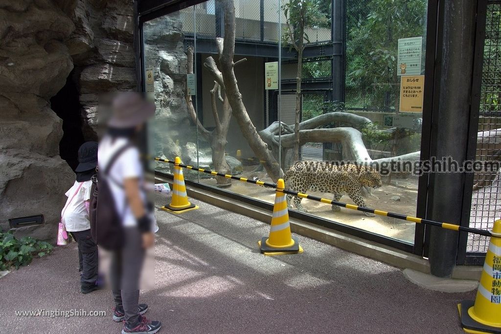 YTS_YTS_20180822_日本九州福岡福岡市動物園／動物科學館／摩天輪Japan Kyushu Fukuoka Fukuoka City Zoological Garden313_3A5A6413.jpg