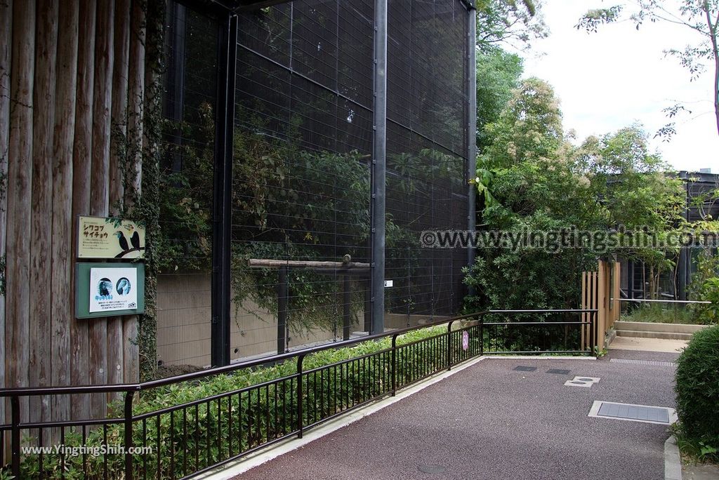 YTS_YTS_20180822_日本九州福岡福岡市動物園／動物科學館／摩天輪Japan Kyushu Fukuoka Fukuoka City Zoological Garden316_3A5A6447.jpg