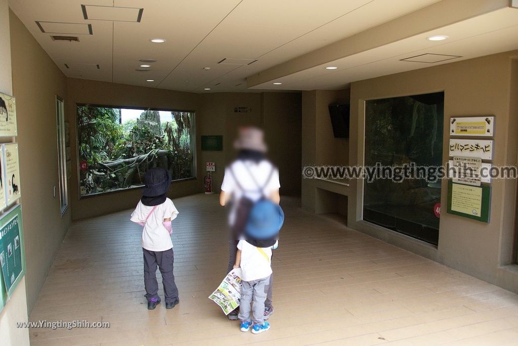 YTS_YTS_20180822_日本九州福岡福岡市動物園／動物科學館／摩天輪Japan Kyushu Fukuoka Fukuoka City Zoological Garden327_3A5A6558.jpg