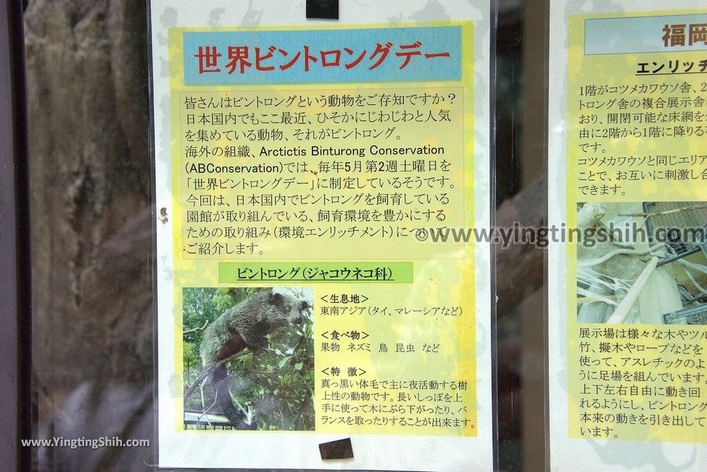 YTS_YTS_20180822_日本九州福岡福岡市動物園／動物科學館／摩天輪Japan Kyushu Fukuoka Fukuoka City Zoological Garden325_3A5A6549.jpg