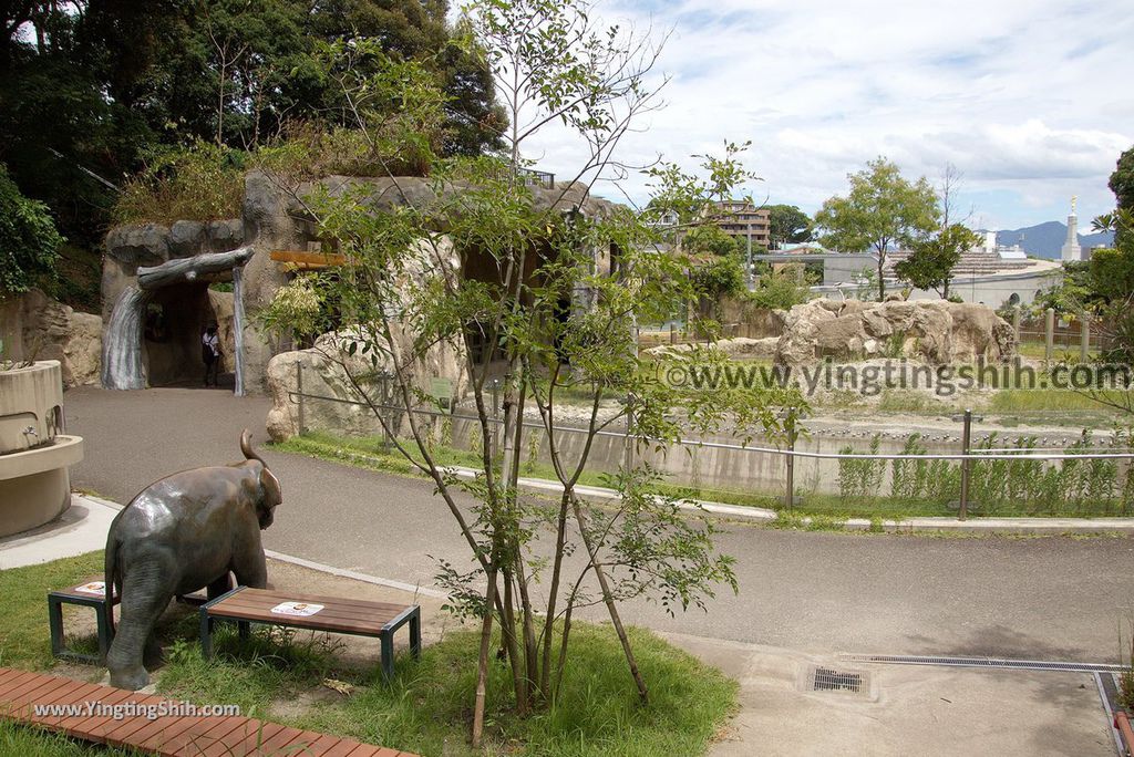 YTS_YTS_20180822_日本九州福岡福岡市動物園／動物科學館／摩天輪Japan Kyushu Fukuoka Fukuoka City Zoological Garden351_3A5A7084.jpg