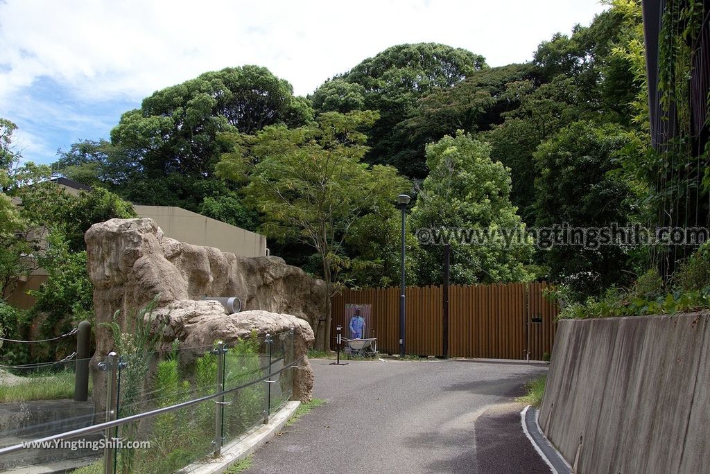 YTS_YTS_20180822_日本九州福岡福岡市動物園／動物科學館／摩天輪Japan Kyushu Fukuoka Fukuoka City Zoological Garden353_3A5A7087.jpg