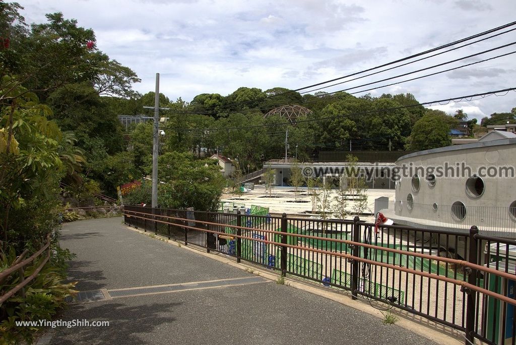 YTS_YTS_20180822_日本九州福岡福岡市動物園／動物科學館／摩天輪Japan Kyushu Fukuoka Fukuoka City Zoological Garden362_3A5A7117.jpg