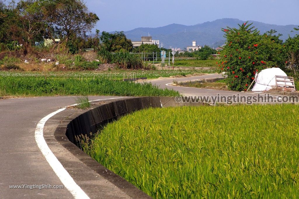 YTS_YTS_20171026_桃園大溪大鶯綠野景觀自行車道／大溪橋／中庄調整池Taoyuan Daxi District Daxi Yingge Bicycle Trail080_3A5A5015.jpg