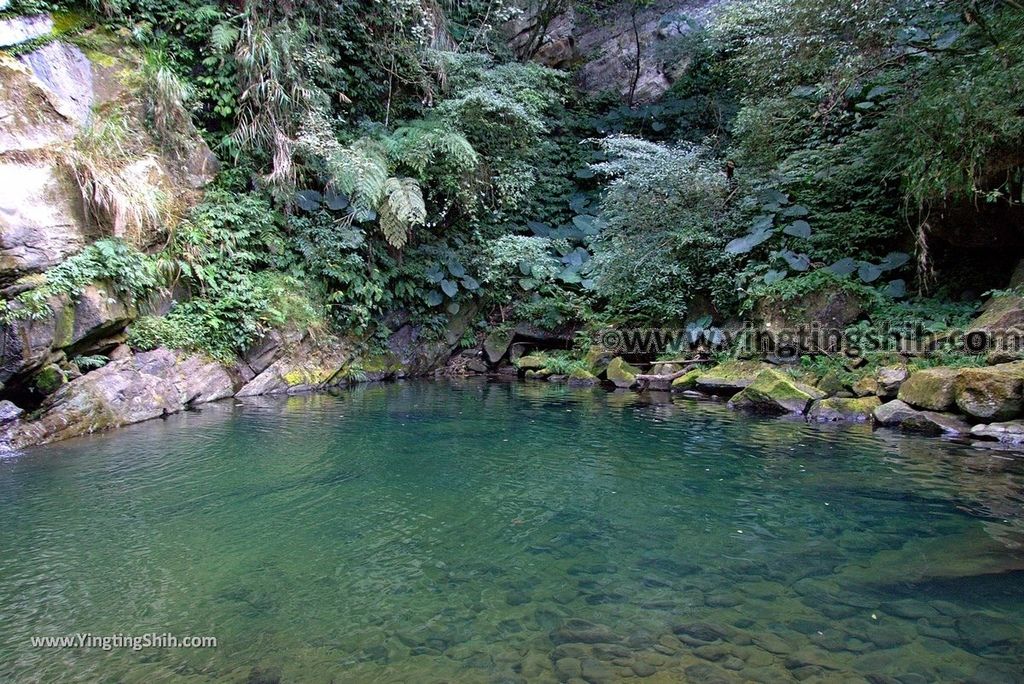 YTS_YTS_20190113_南投鹿谷小半天雙瀑／德興瀑布Nantou Lugu Dexing Falls048_3A5A8505.jpg