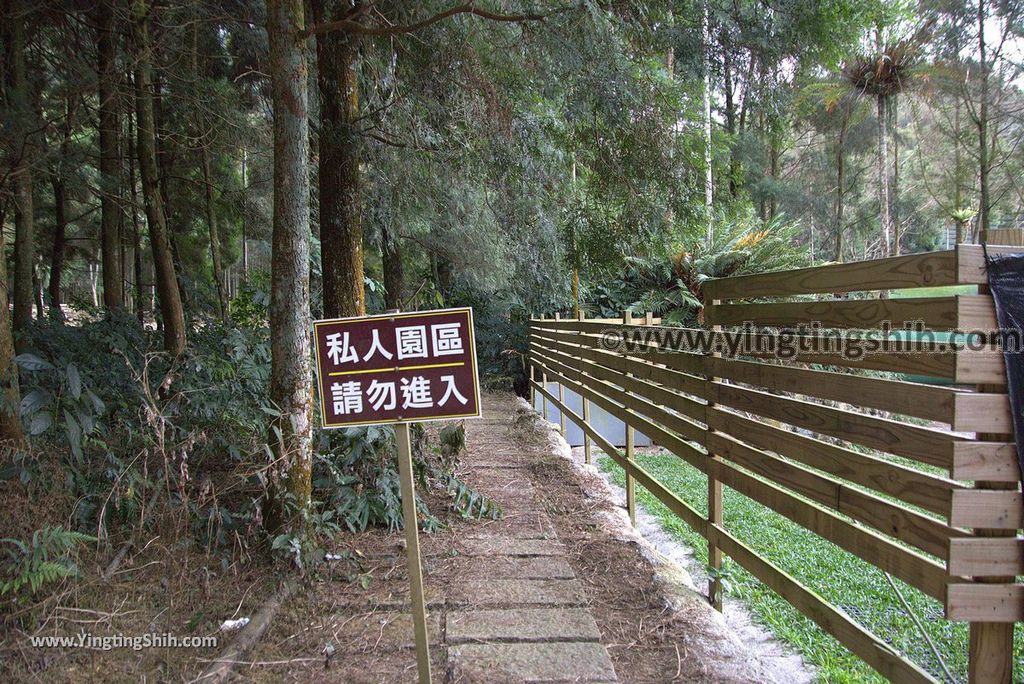 YTS_YTS_20190112_南投鹿谷孟宗竹林古戰場／小半天竹海Nantou Lugu Bamboo Forest Ancient Battlefield／Bamboo Sea019_3A5A4796.jpg