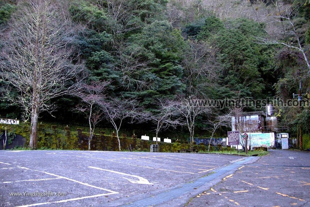 YTS_YTS_20190105_桃園復興拉拉山(達觀山)自然保護區／拉拉山神木群步道Taoyuan Fuxing Lalashan Natural Center004_3A5A0278.jpg