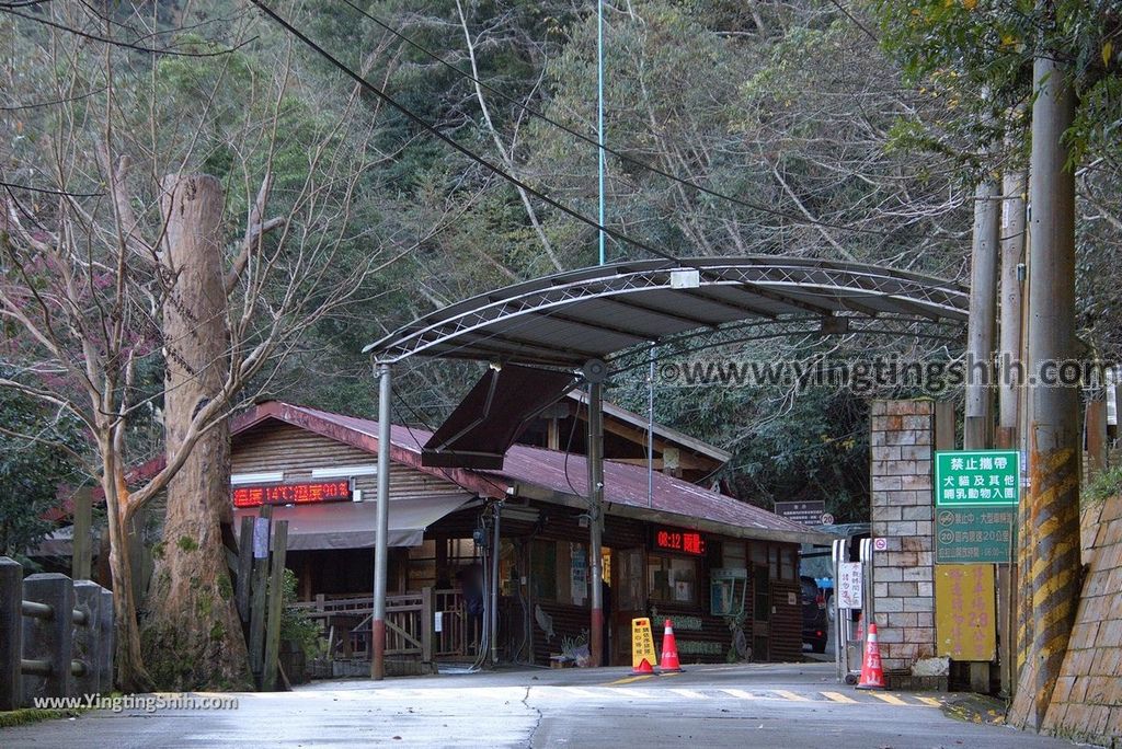 YTS_YTS_20190105_桃園復興拉拉山(達觀山)自然保護區／拉拉山神木群步道Taoyuan Fuxing Lalashan Natural Center001_3A5A0263.jpg