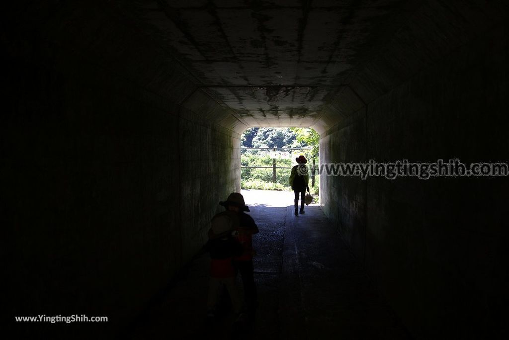 YTS_YTS_20180721_日本關西大阪箕面公園／箕面大滝／瀑布／釣鐘淵／地獄谷Japan Kansai Osaka Minoh Waterfall／Minoo Park020_3A5A2376.jpg