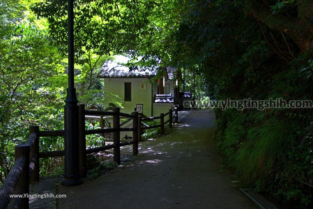 YTS_YTS_20180721_日本關西大阪箕面公園／箕面大滝／瀑布／釣鐘淵／地獄谷Japan Kansai Osaka Minoh Waterfall／Minoo Park053_3A5A3331.jpg