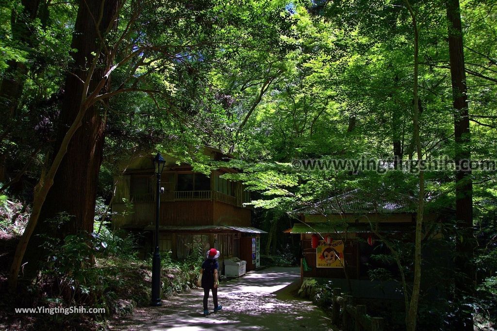 YTS_YTS_20180721_日本關西大阪箕面公園／箕面大滝／瀑布／釣鐘淵／地獄谷Japan Kansai Osaka Minoh Waterfall／Minoo Park063_3A5A3436.jpg