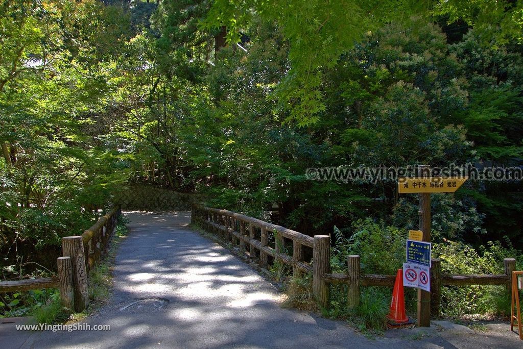 YTS_YTS_20180721_日本關西大阪箕面公園／箕面大滝／瀑布／釣鐘淵／地獄谷Japan Kansai Osaka Minoh Waterfall／Minoo Park129_3A5A4305.jpg