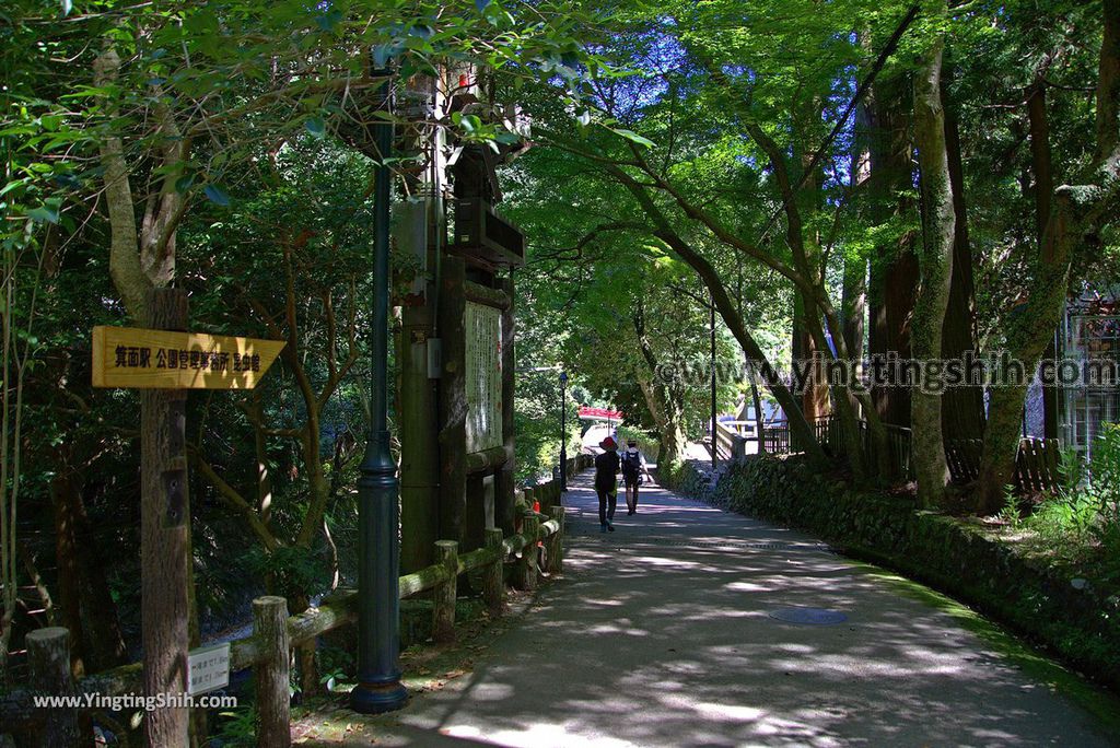 YTS_YTS_20180721_日本關西大阪箕面公園／箕面大滝／瀑布／釣鐘淵／地獄谷Japan Kansai Osaka Minoh Waterfall／Minoo Park134_3A5A4367.jpg