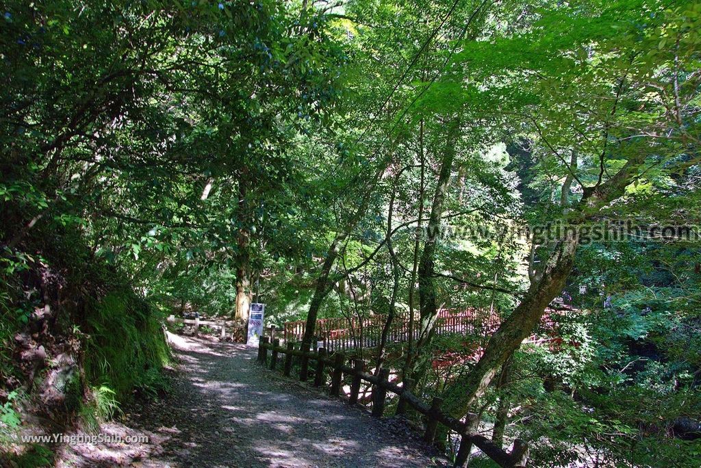 YTS_YTS_20180721_日本關西大阪箕面公園／箕面大滝／瀑布／釣鐘淵／地獄谷Japan Kansai Osaka Minoh Waterfall／Minoo Park169_3A5A5406.jpg