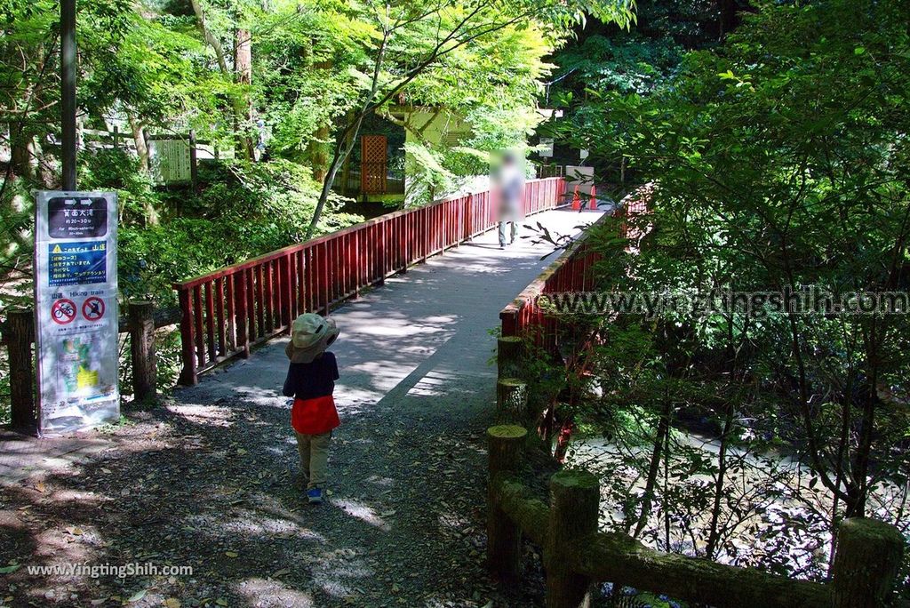 YTS_YTS_20180721_日本關西大阪箕面公園／箕面大滝／瀑布／釣鐘淵／地獄谷Japan Kansai Osaka Minoh Waterfall／Minoo Park170_3A5A5409.jpg