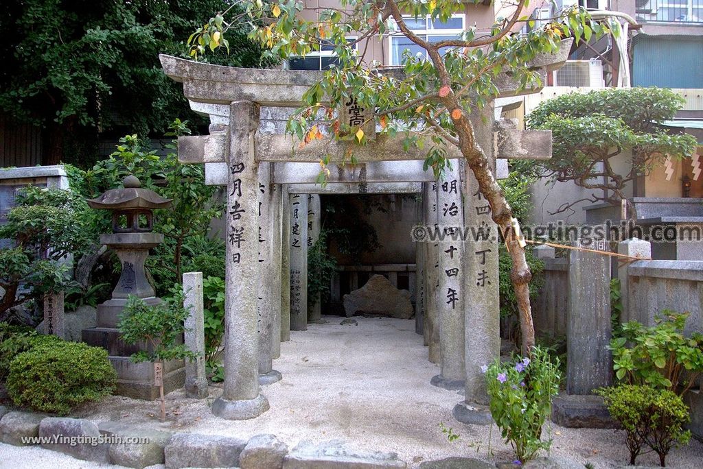 YTS_YTS_20180806_日本九州福岡櫛田神社／博多祇園山笠／世界無形文化財產Japan Kyushu Fukuoka Kushida Shrine／Hakata Gion Yamakasa094_3A5A4916.jpg