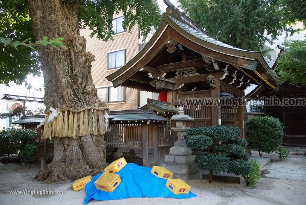 YTS_YTS_20180806_日本九州福岡櫛田神社／博多祇園山笠／世界無形文化財產Japan Kyushu Fukuoka Kushida Shrine／Hakata Gion Yamakasa111_3A5A5152.jpg