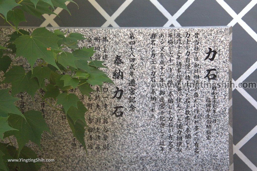 YTS_YTS_20180806_日本九州福岡櫛田神社／博多祇園山笠／世界無形文化財產Japan Kyushu Fukuoka Kushida Shrine／Hakata Gion Yamakasa120_3A5A5182.jpg