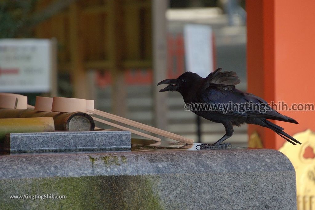 YTS_YTS_20180807_日本九州大分宇佐神宮／上宮／下宮／夫妻石／御靈水Japan Kyushu Oita Usa Shrine／Usa Jingu110_3A5A9647.jpg