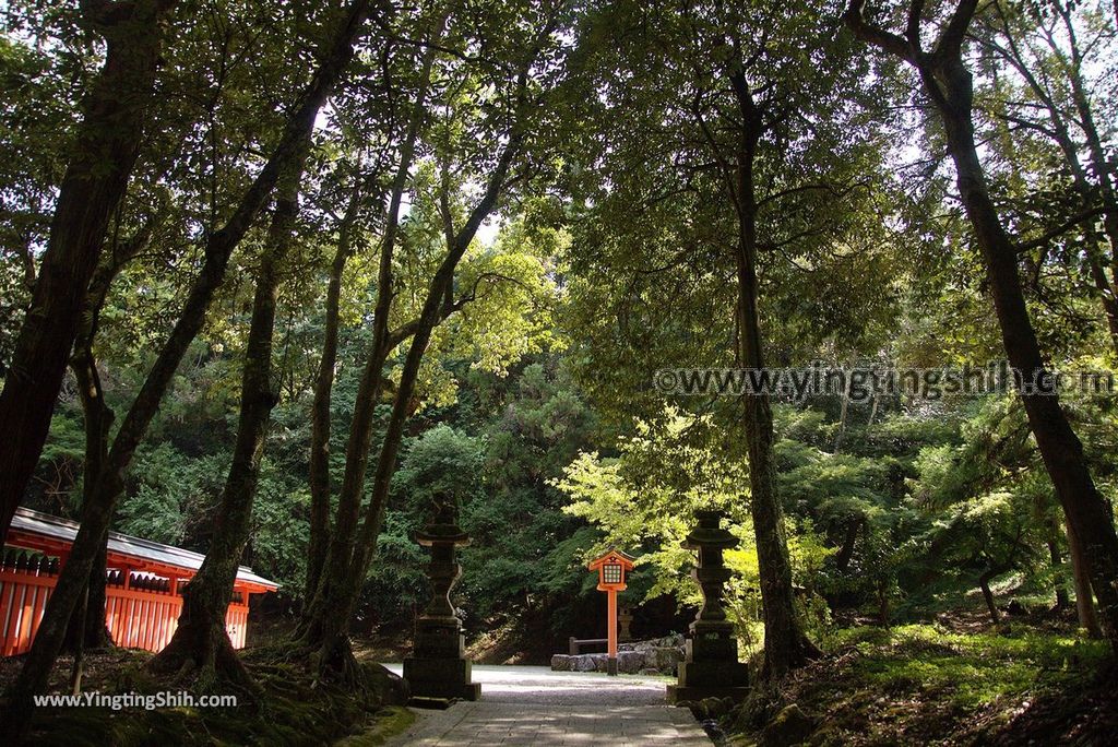 YTS_YTS_20180807_日本九州大分宇佐神宮／上宮／下宮／夫妻石／御靈水Japan Kyushu Oita Usa Shrine／Usa Jingu131_3A5A0159.jpg