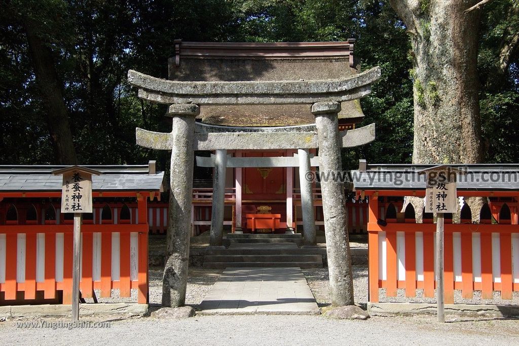 YTS_YTS_20180807_日本九州大分宇佐神宮／上宮／下宮／夫妻石／御靈水Japan Kyushu Oita Usa Shrine／Usa Jingu139_3A5A0190.jpg