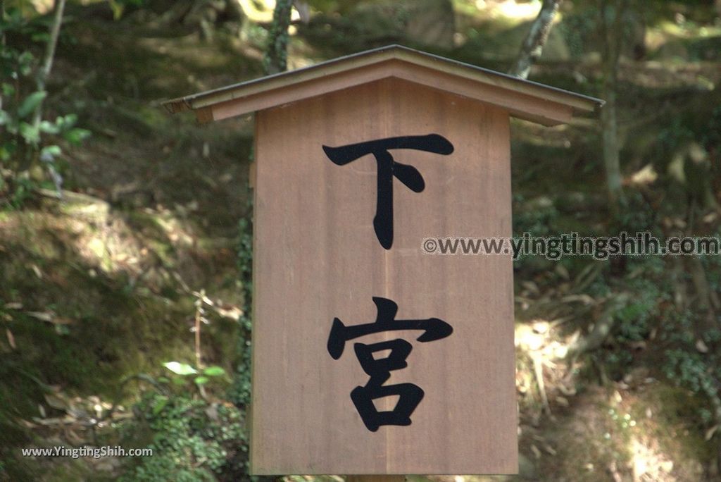 YTS_YTS_20180807_日本九州大分宇佐神宮／上宮／下宮／夫妻石／御靈水Japan Kyushu Oita Usa Shrine／Usa Jingu147_3A5A0356.jpg