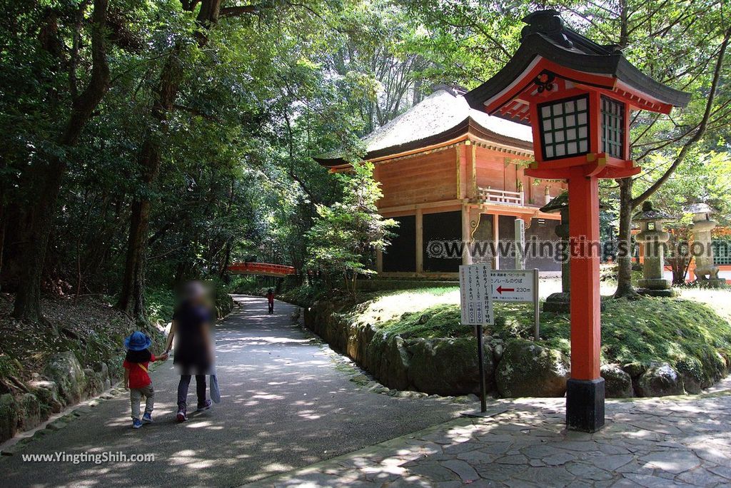 YTS_YTS_20180807_日本九州大分宇佐神宮／上宮／下宮／夫妻石／御靈水Japan Kyushu Oita Usa Shrine／Usa Jingu184_3A5A8860.jpg