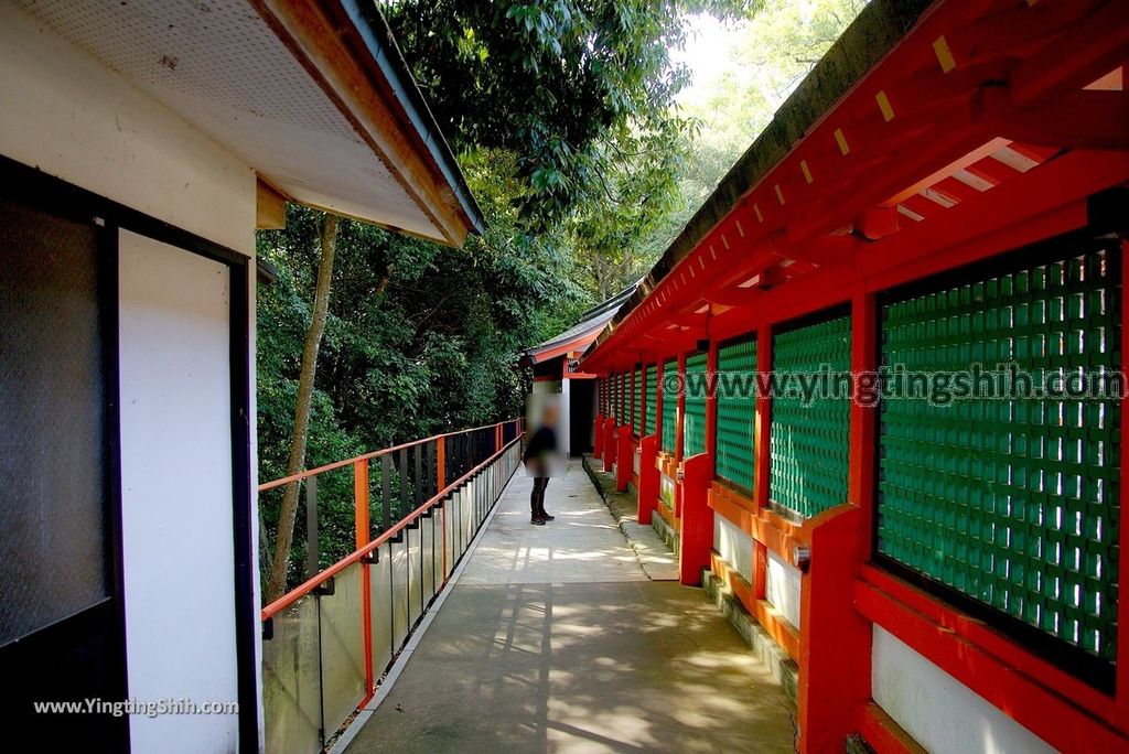 YTS_YTS_20180807_日本九州大分宇佐神宮／上宮／下宮／夫妻石／御靈水Japan Kyushu Oita Usa Shrine／Usa Jingu239_3A5A1040.jpg