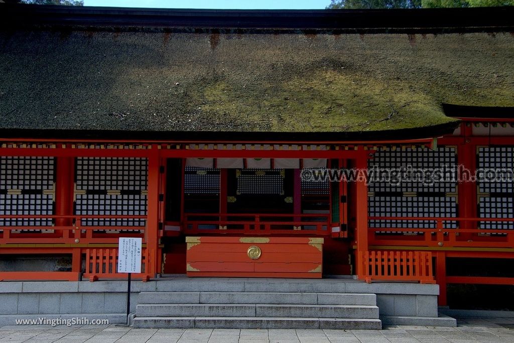 YTS_YTS_20180807_日本九州大分宇佐神宮／上宮／下宮／夫妻石／御靈水Japan Kyushu Oita Usa Shrine／Usa Jingu254_3A5A0922.jpg