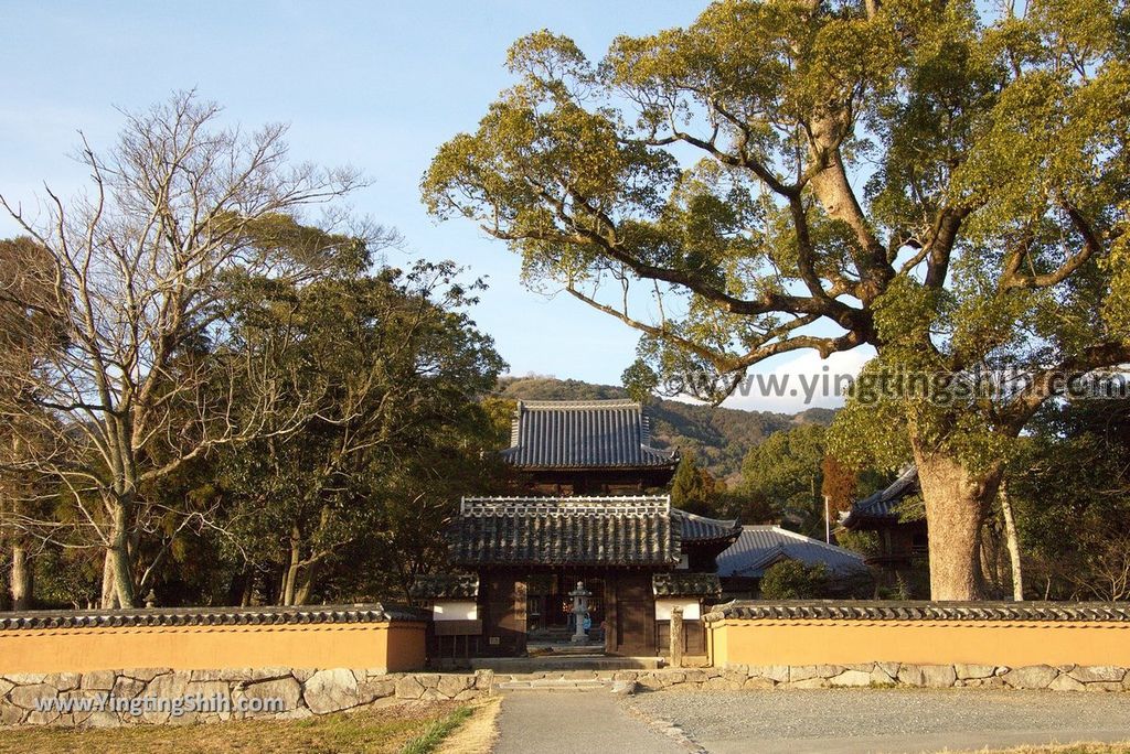 YTS_YTS_20190121_日本九州福岡天下三戒壇／（西）戒壇院Japan Kyushu Fukuoka Kaidanin010_3A5A2817.jpg