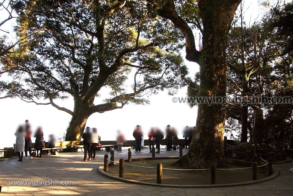 YTS_YTS_20190122_日本九州鹿兒島城山公園／櫻島展望台／自然遊步道Shiroyama Park Observation Deck／Sakurajima047_3A5A7887.jpg