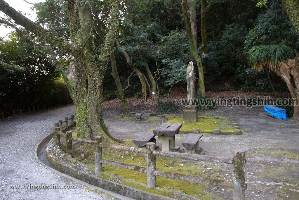 YTS_YTS_20190122_日本九州鹿兒島城山公園／櫻島展望台／自然遊步道Shiroyama Park Observation Deck／Sakurajima106_3A5A8562.jpg