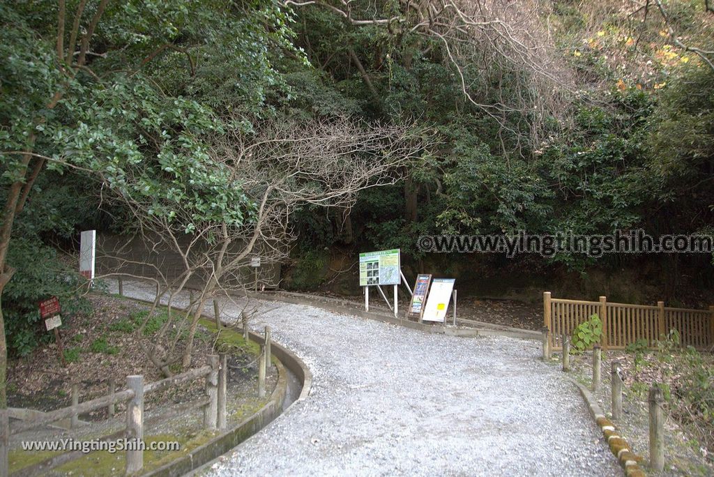 YTS_YTS_20190122_日本九州鹿兒島城山公園／櫻島展望台／自然遊步道Shiroyama Park Observation Deck／Sakurajima117_3A5A8678.jpg