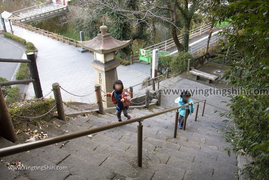 YTS_YTS_20190122_日本九州鹿兒島城山公園／櫻島展望台／自然遊步道Shiroyama Park Observation Deck／Sakurajima139_3A5A8816.jpg