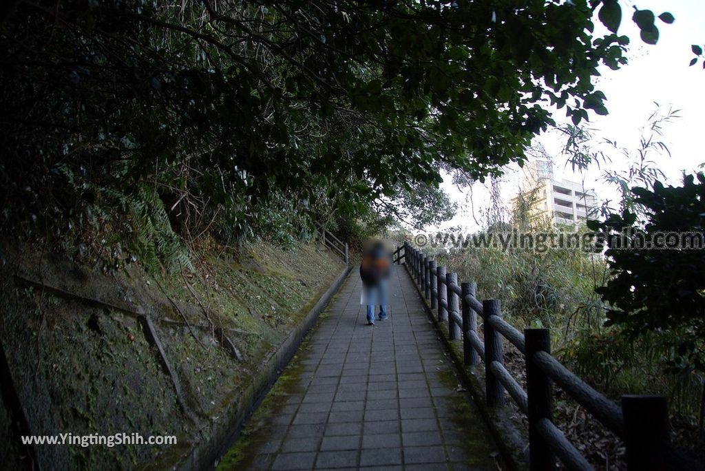 YTS_YTS_20190122_日本九州鹿兒島城山公園／櫻島展望台／自然遊步道Shiroyama Park Observation Deck／Sakurajima142_3A5A8844.jpg