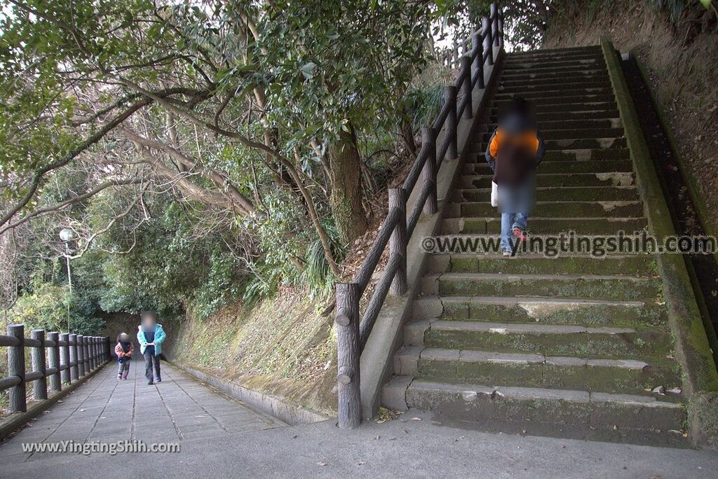 YTS_YTS_20190122_日本九州鹿兒島城山公園／櫻島展望台／自然遊步道Shiroyama Park Observation Deck／Sakurajima143_3A5A8855.jpg