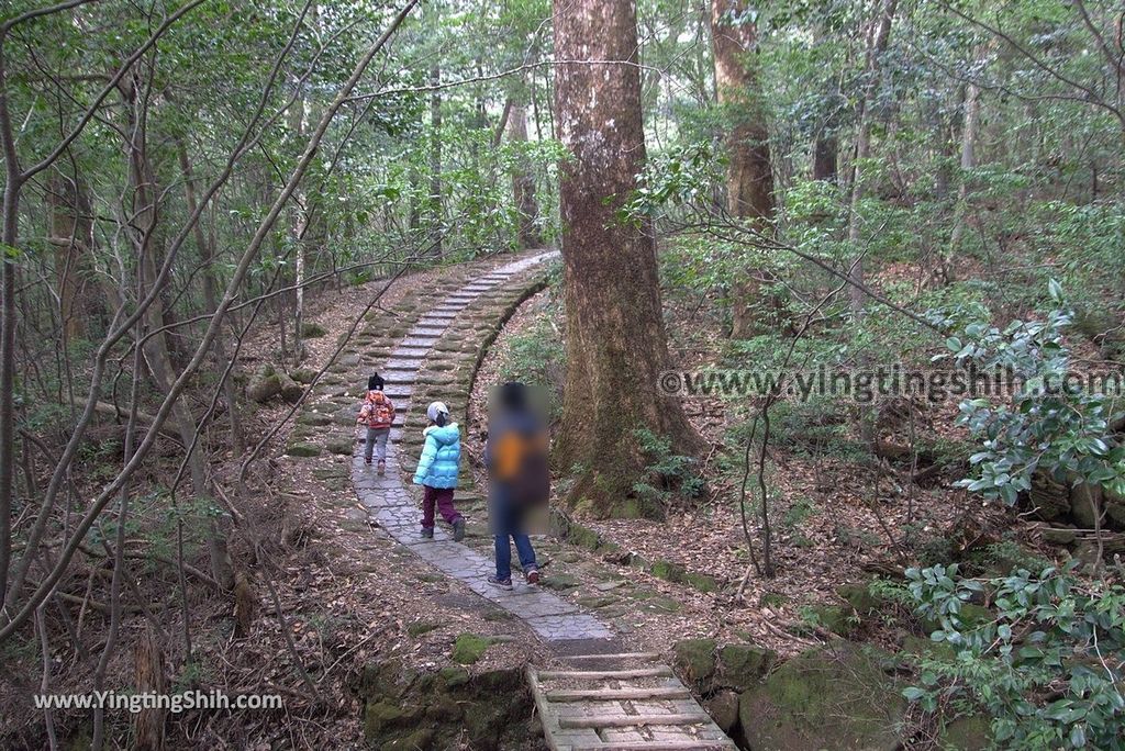 YTS_YTS_20190124_日本九州鹿兒島大浪池／日本最高火山口湖Japan Kyushu Kagoshima Onami-ike Crater Lake／Mount Karakuni031_3A5A2137.jpg